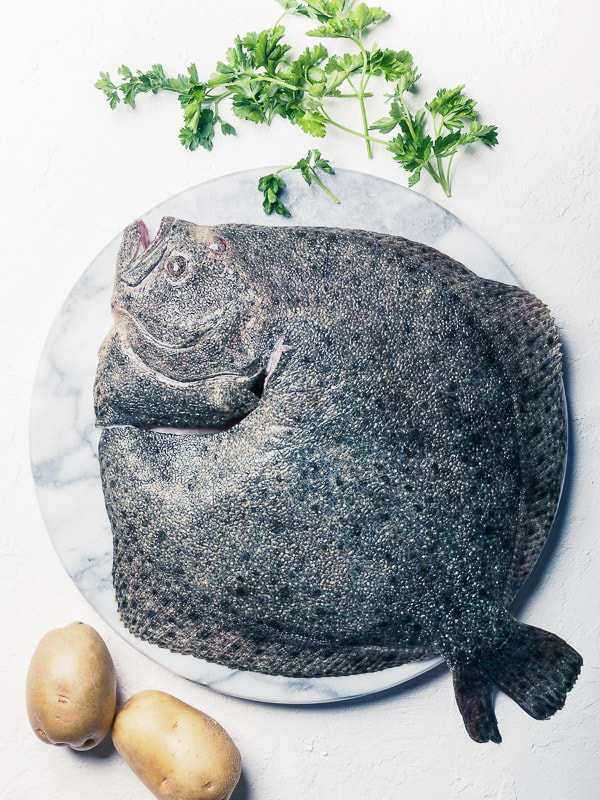 Big brill fish on white dish with potatoes and parsley.
Grande pesce rombo su piatto bianco con patate e prezzemolo, su tavola bianca ruvida.